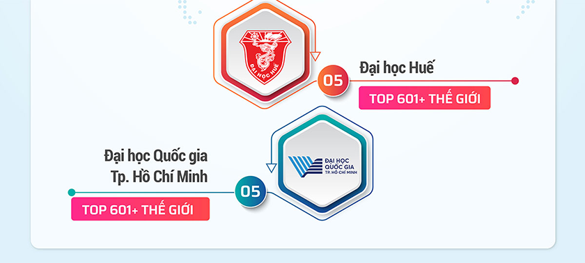 Các đại học Việt Nam trên bảng xếp hạng THE châu Á 2024