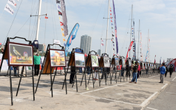 The DTU Photo Exhibition Records the Arrival of the 2016 Round the World Clipper Yacht Race