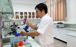 Kết quả và Năng suất Nghiên cứu Khoa học Quốc tế của các Đại học Việt Nam đầu 2015