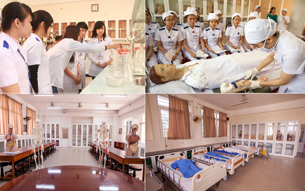 The DTU Medicine, Pharmacology and Nursing Programs