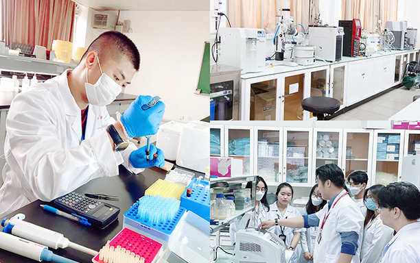 The DTU Pharmacy and Biotechnology programs