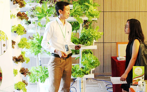 A Startup Project to Cultivate Organic Vegetables