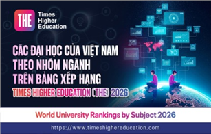 Các Đại học của Việt Nam theo Nhóm ngành trên bảng xếp hạng TIMES HIGHER EDUCATION (THE) 2026