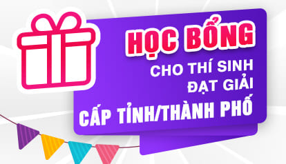  Học bổng cho Thí sinh đạt giải cấp Tỉnh/Thành phố