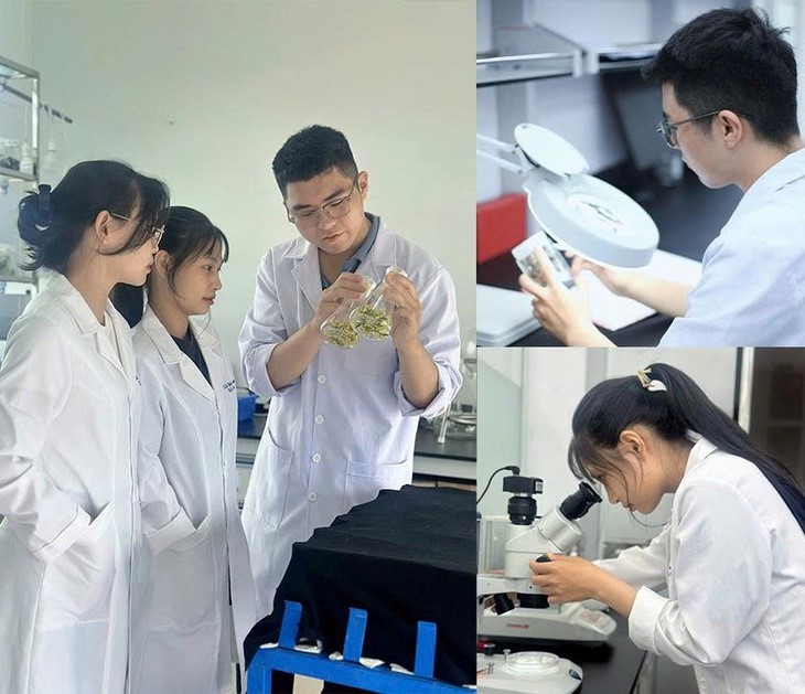 Các sinh viên trong Phòng thí nghiệm Công nghệ Tế bào ở ĐH Duy Tân