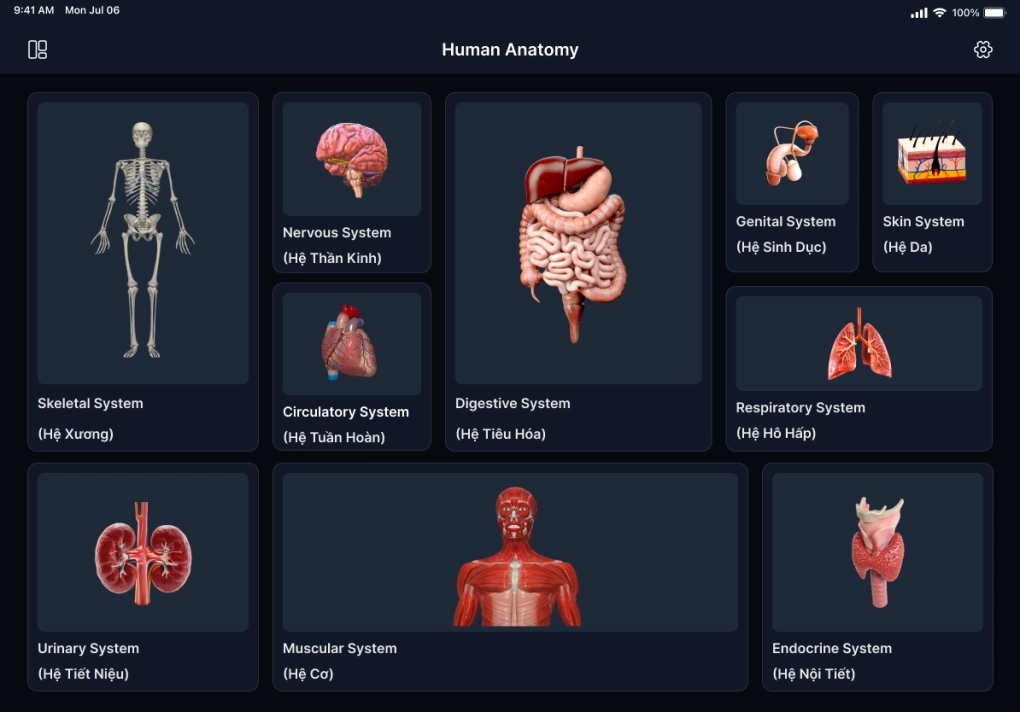 Giao diện sản phẩm AnatomyNow trên máy tính bảng