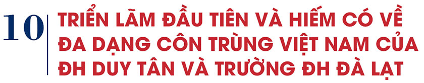 10 Sự kiện nổi bật của ĐH Duy Tân trong năm 2025