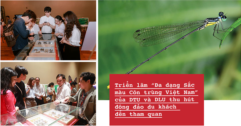 10 Sự kiện nổi bật của ĐH Duy Tân trong năm 2025