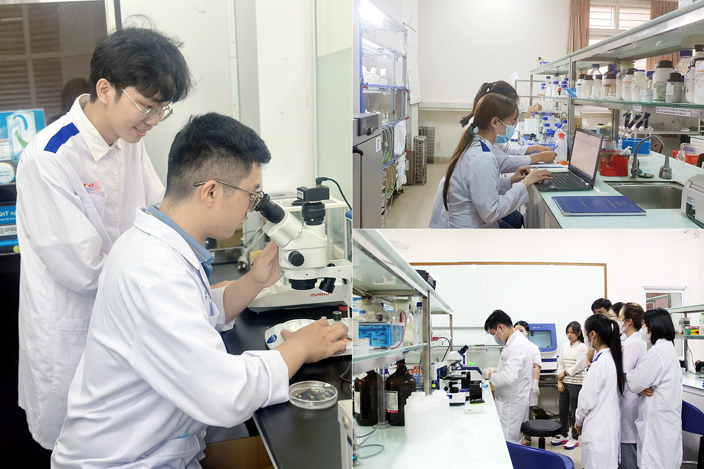 Sinh viên các ngành Kỹ thuật Xét nghiệm và Kỹ thuật Y sinh ĐH Duy Tân