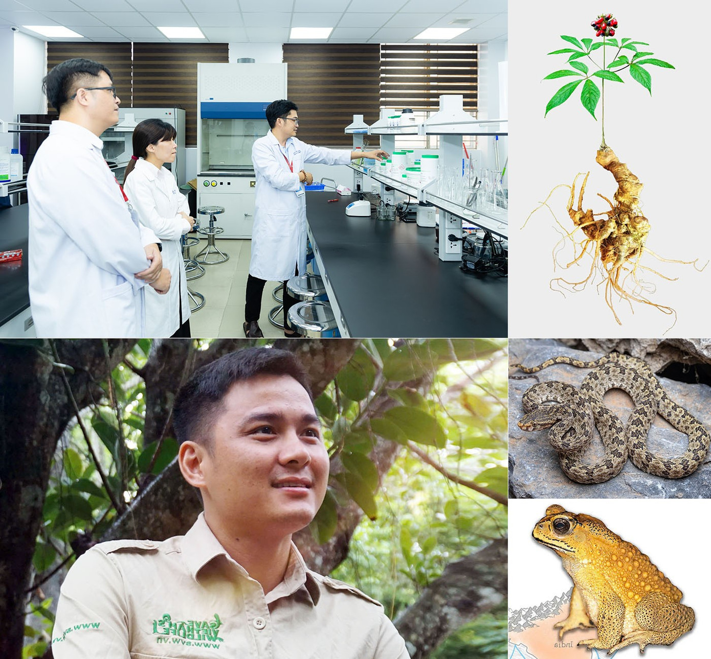 Các nhà khoa học DTU với nhiều phát hiện mới qua nghiên cứu