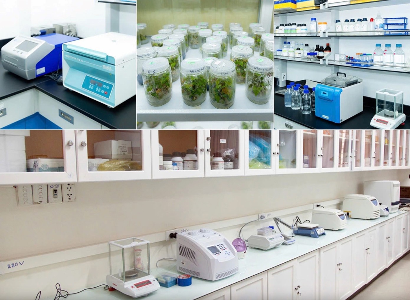 Các thiết bị thí nghiệm hiện đại hỗ trợ tối đa cho hoạt động nghiên cứu khoa học tại ĐH Duy Tân